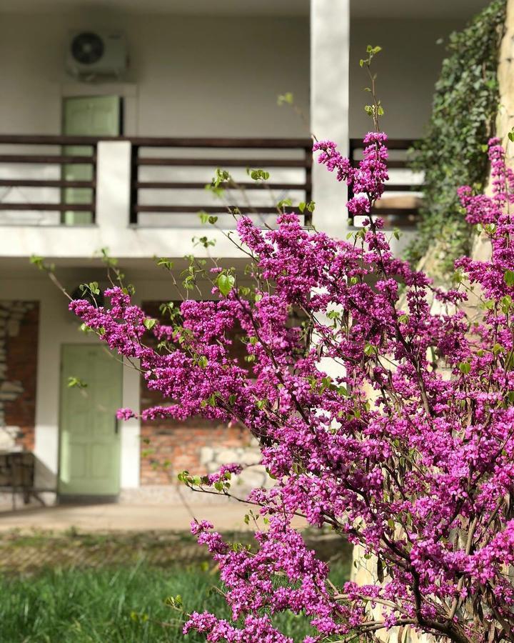 Hotel Heliopark Gora Bagrata Suchumi Exteriér fotografie